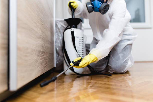 Best Commercial Pest Control Services  in Amherst, OH