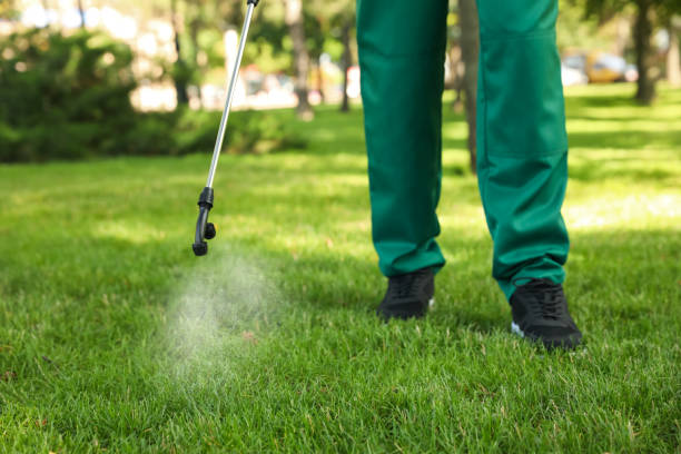 Professional Pest Control in Amherst, OH
