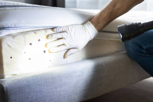 Best Pest Control Near Me  in Amherst, OH