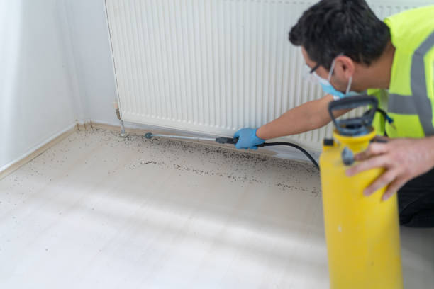 Best Wasp Removal Services  in Amherst, OH